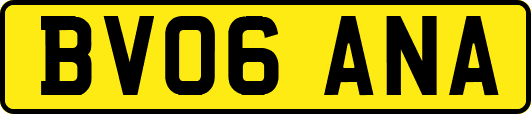 BV06ANA