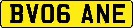 BV06ANE