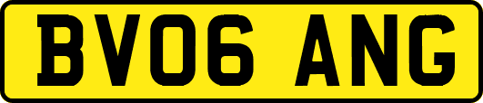 BV06ANG