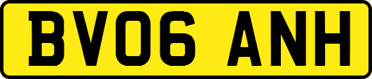 BV06ANH