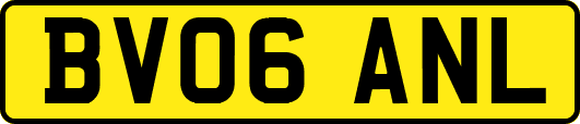 BV06ANL