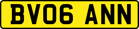 BV06ANN