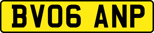 BV06ANP