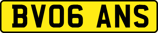 BV06ANS