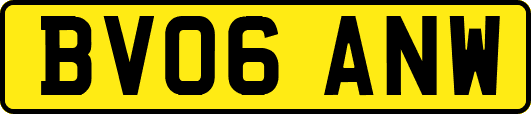 BV06ANW