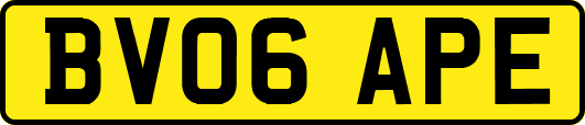 BV06APE