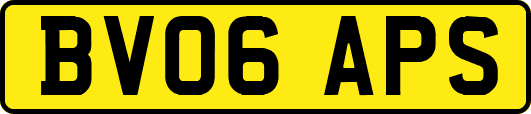 BV06APS