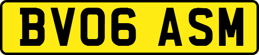 BV06ASM