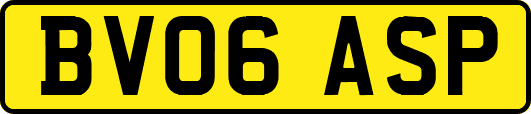 BV06ASP