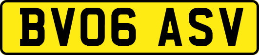 BV06ASV