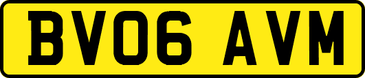 BV06AVM