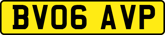 BV06AVP