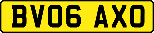 BV06AXO
