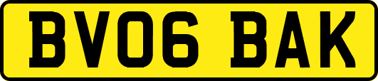 BV06BAK