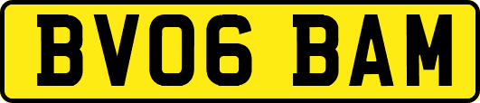 BV06BAM