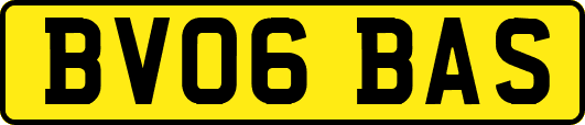 BV06BAS