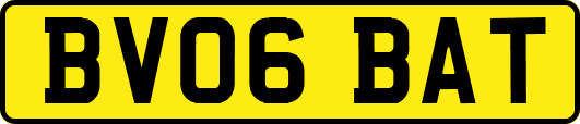 BV06BAT