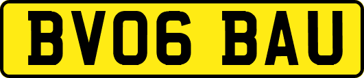 BV06BAU