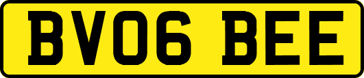 BV06BEE