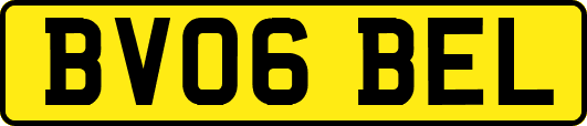 BV06BEL