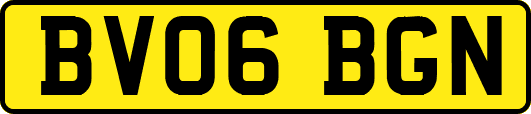 BV06BGN