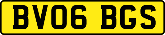 BV06BGS