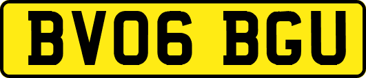 BV06BGU
