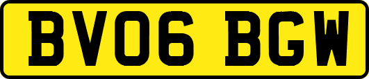 BV06BGW