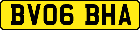 BV06BHA