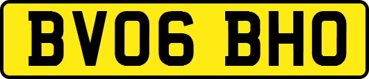 BV06BHO