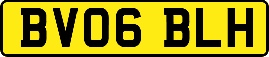 BV06BLH