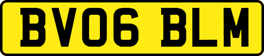 BV06BLM