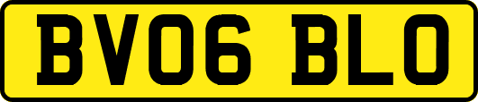 BV06BLO