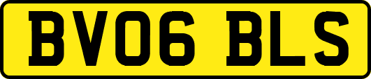 BV06BLS
