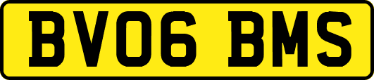 BV06BMS