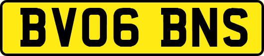 BV06BNS