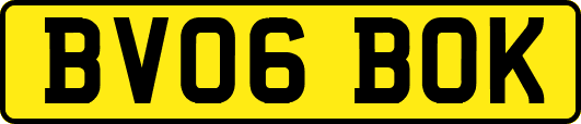 BV06BOK