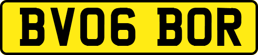 BV06BOR