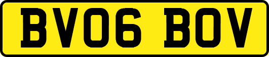 BV06BOV