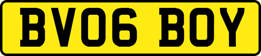 BV06BOY