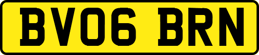 BV06BRN