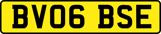 BV06BSE