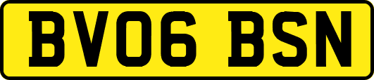 BV06BSN