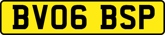 BV06BSP