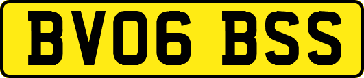 BV06BSS