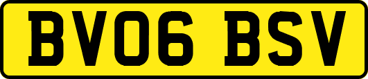 BV06BSV
