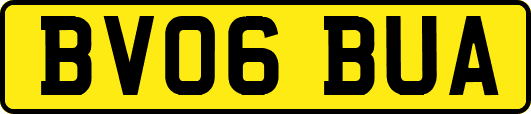 BV06BUA