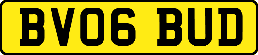BV06BUD