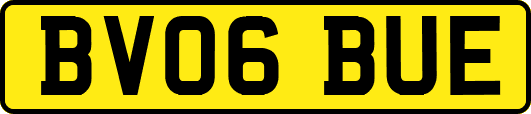 BV06BUE