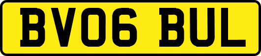 BV06BUL